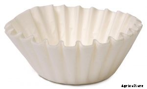 Are Coffee Filters Compostable? Find the Answer