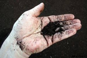 Are Coffee Filters Compostable? Find the Answer