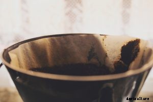 Are Coffee Filters Compostable? Find the Answer