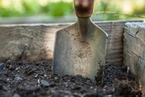 What is Soil Activator? Benefits & Applications