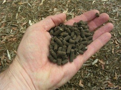 Ber Production Technology