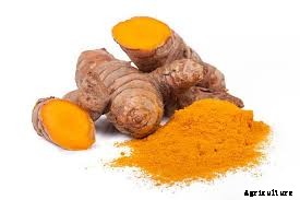 Turmeric