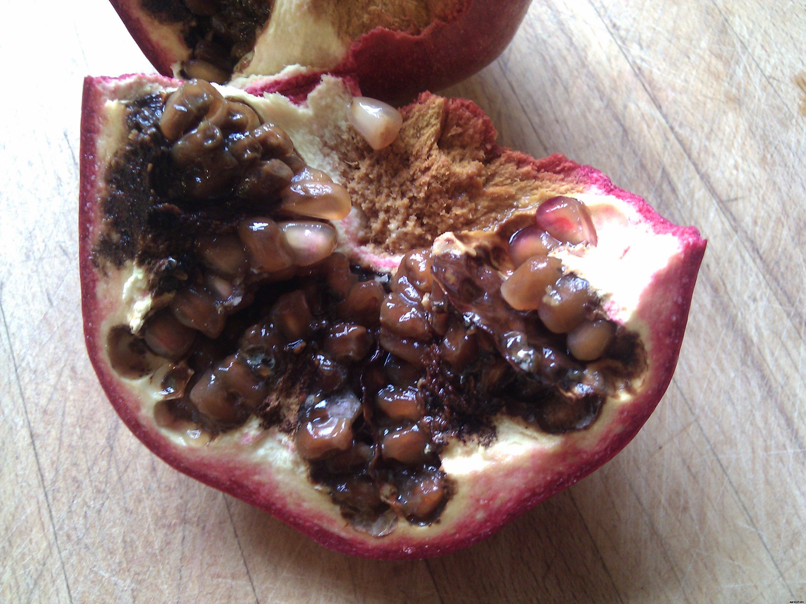 Pomegranate Production Technology