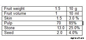 Olive Production Technology