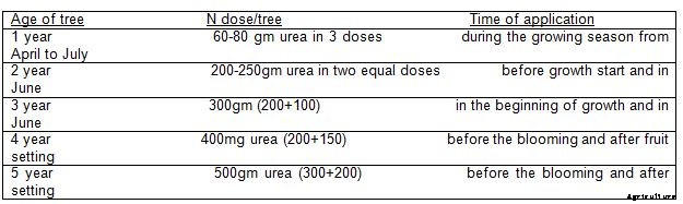 Olive Production Technology