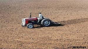 Jamun Production Technology