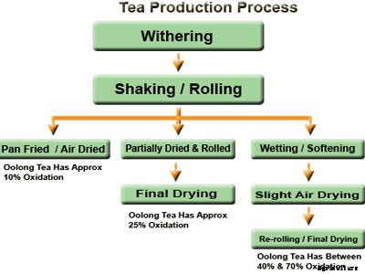 Tea Cultivation Technology
