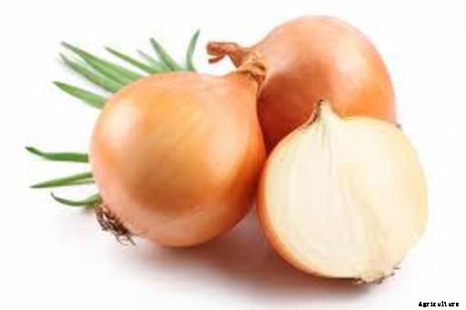 Onion