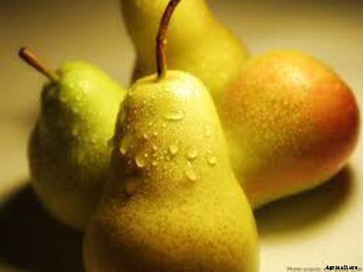 Pear