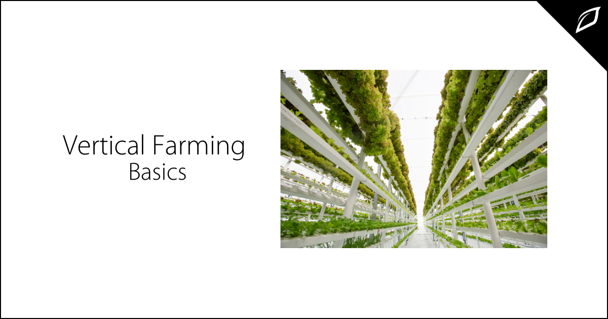 Vertical Farming Basics
