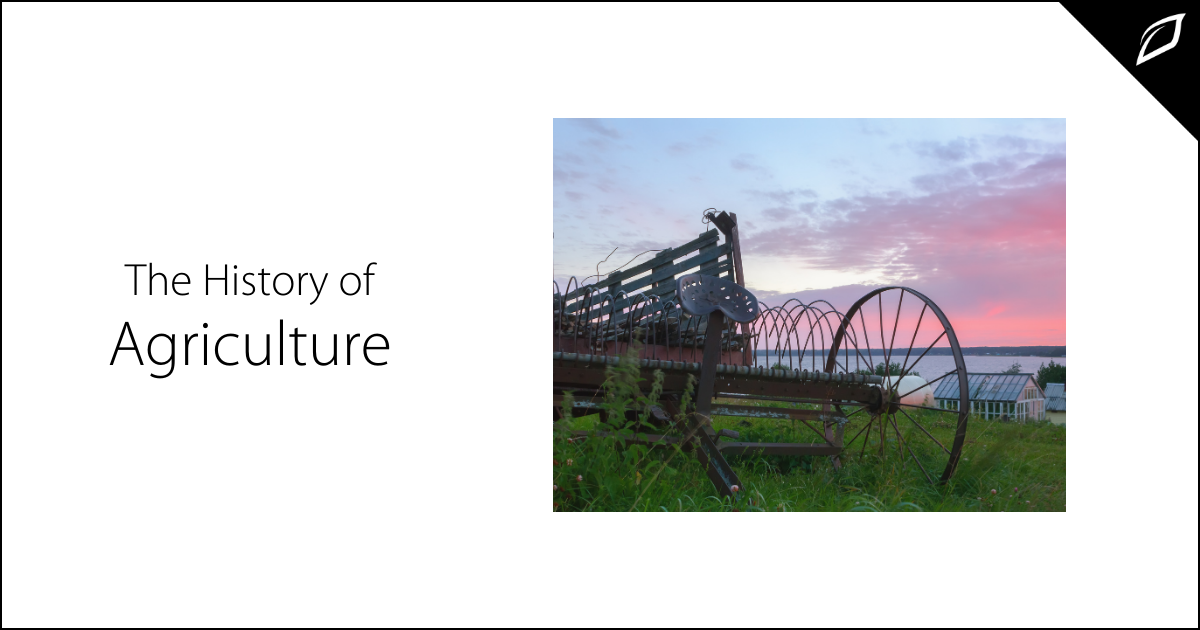 The History of Agriculture