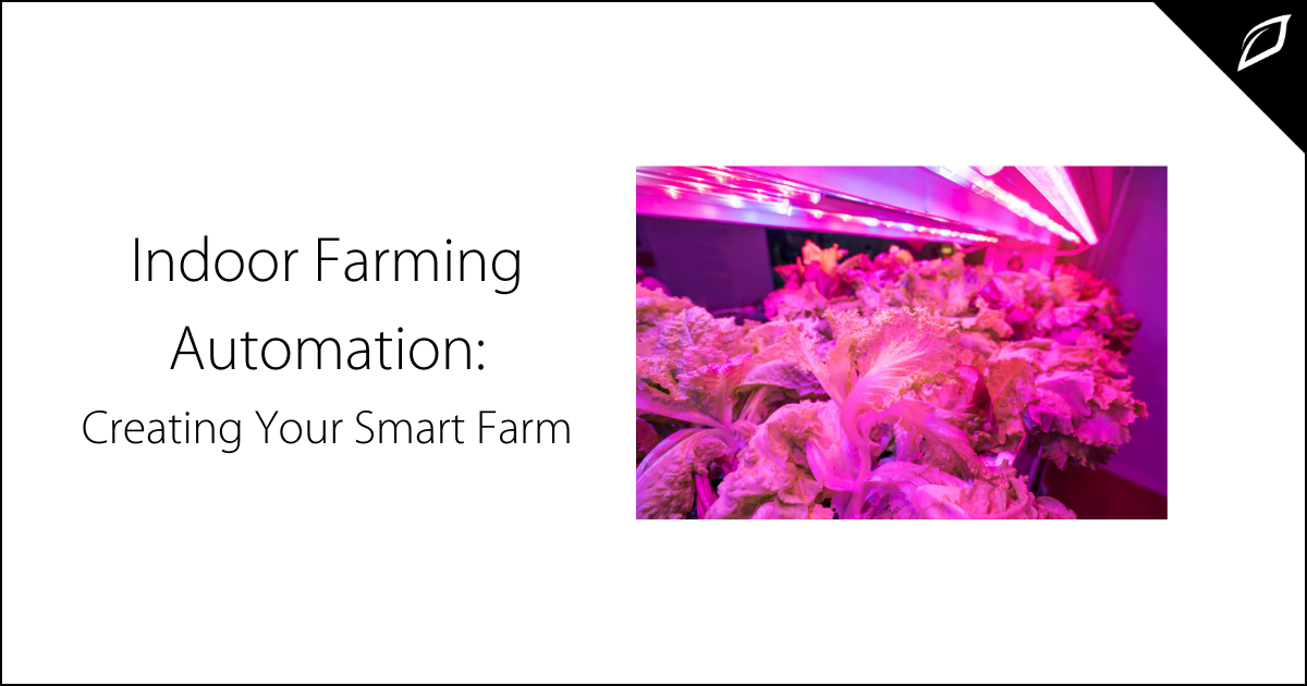 Indoor Farming Automation