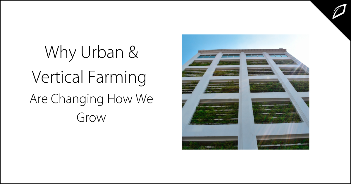 Why Urban and Vertical Farming Are Changing How We Grow