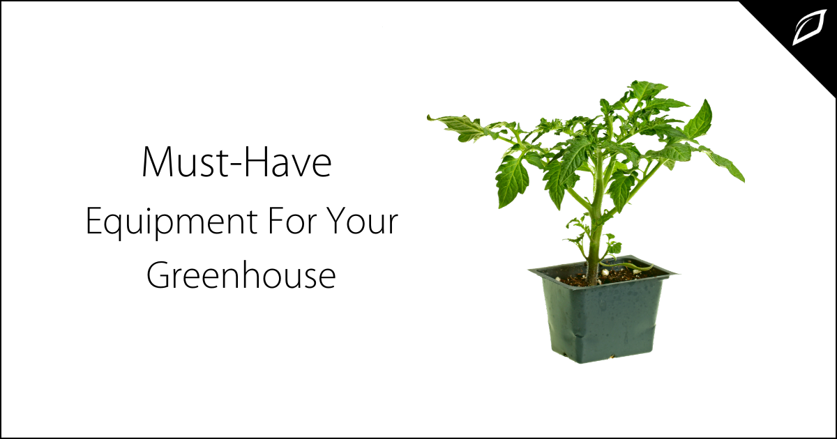 Must-Have Equipment For Your Greenhouse