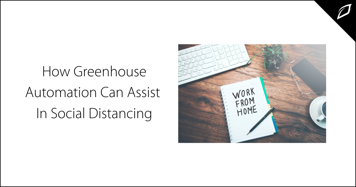 How Greenhouse Automation Can Assist In Social Distancing