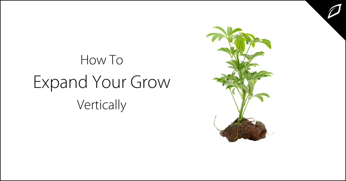 How To Expand Your Grow Vertically