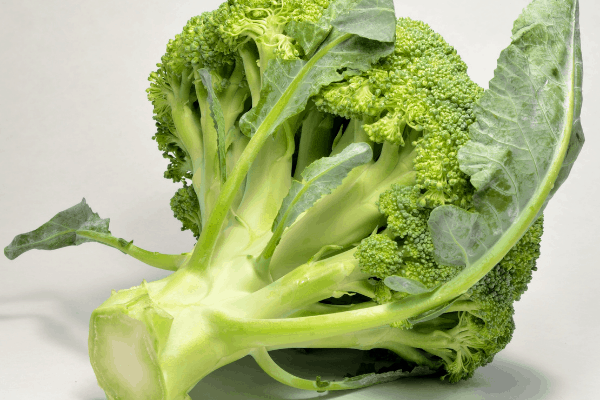 Square Foot Gardening Broccoli: the best way to grow