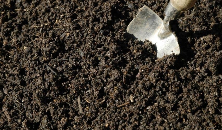 How to use mushroom compost in vegetable garden (Awesome Tips)