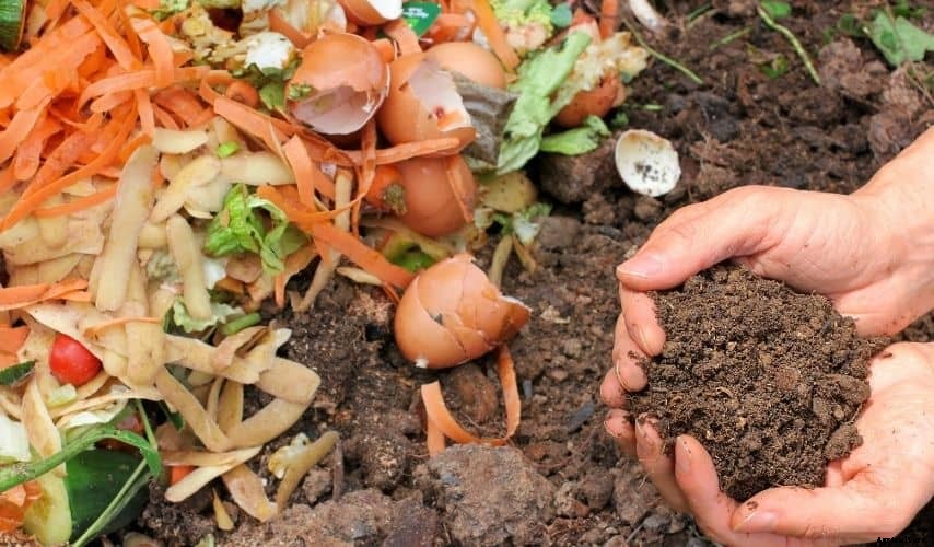 How to use mushroom compost in vegetable garden (Awesome Tips)
