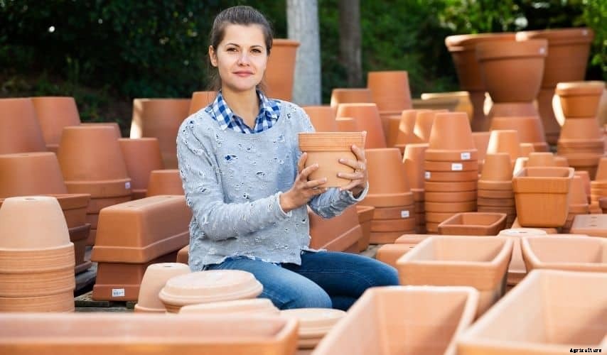 Fast Growing Vegetables In Pots (11 Incredible veggies)