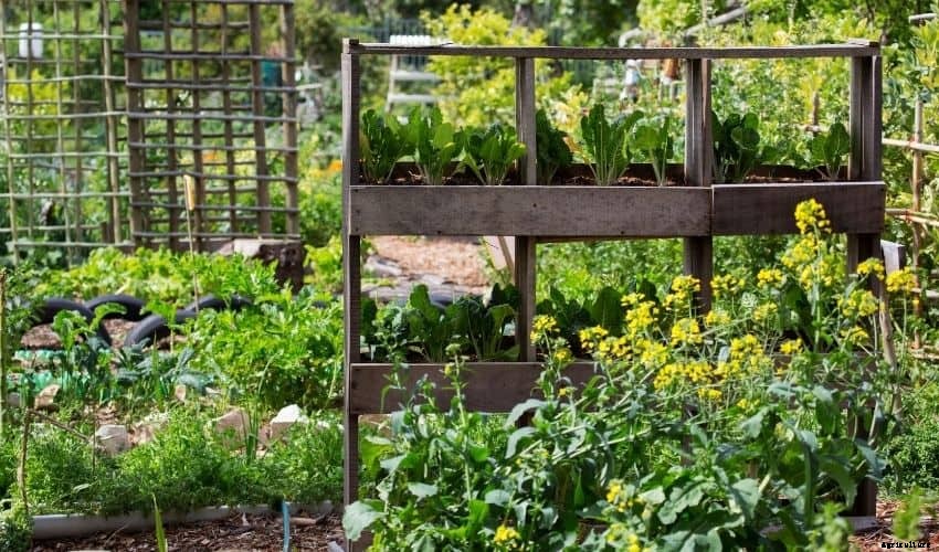 The Best Ways To Build A Vertical Vegetable Garden