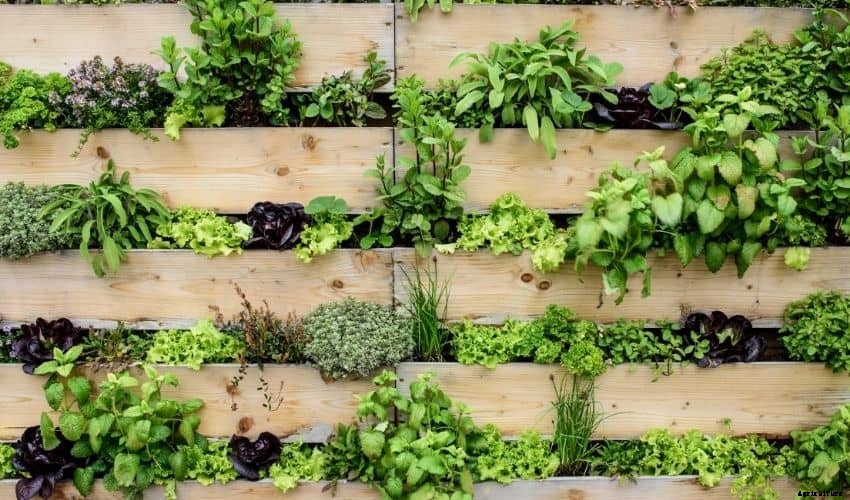 The Best Ways To Build A Vertical Vegetable Garden
