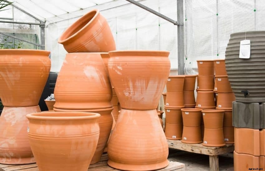 Build and Grow a Salad Garden on Your Balcony (8 Steps)