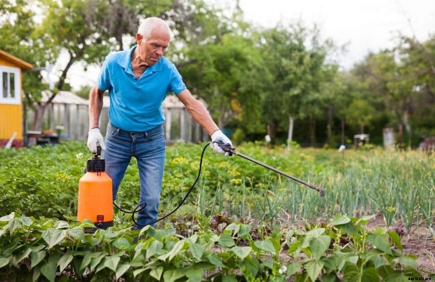 Best insecticide for vegetable garden (Well Researched)