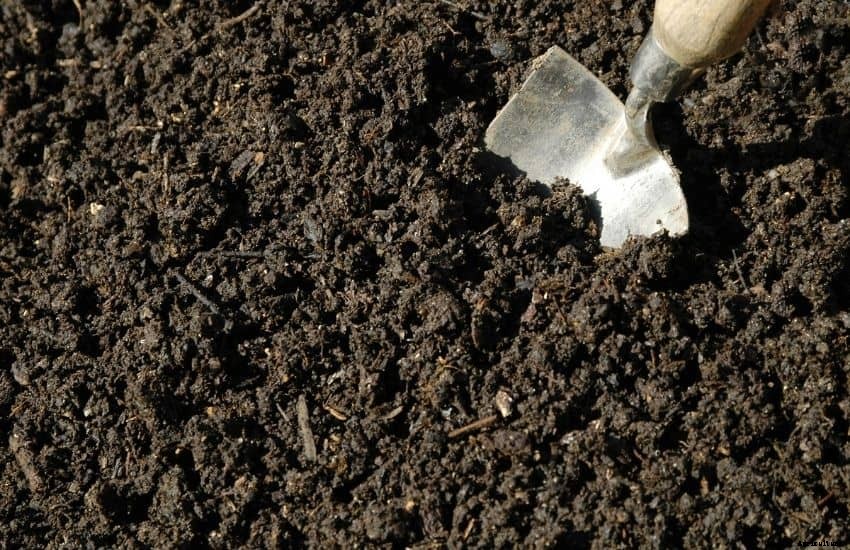 Best compost for a vegetable garden – Well researched Tips