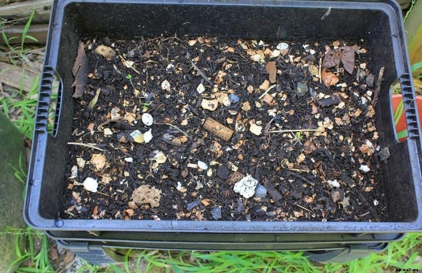 Best compost for a vegetable garden – Well researched Tips