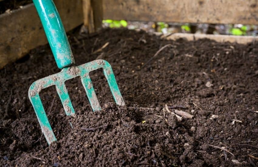 Best compost for a vegetable garden – Well researched Tips
