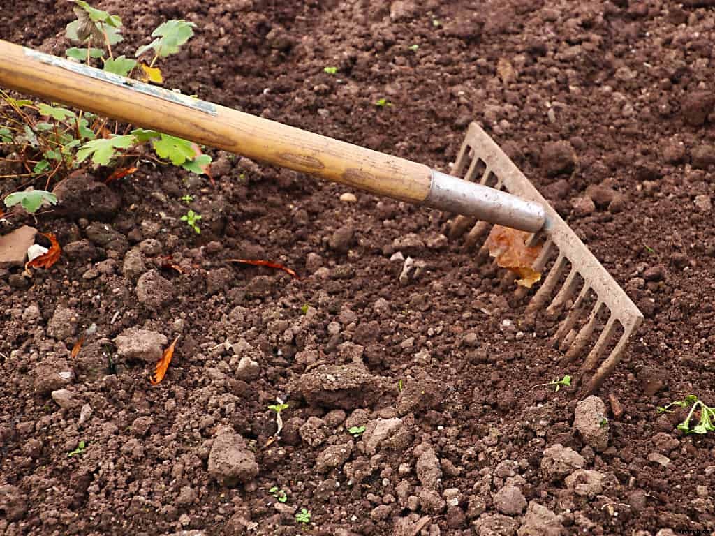 How to Use Preen in a Vegetable Garden (Useful Tips)