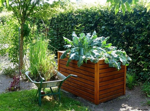 Self-Sufficient Garden – Ultimate Guide to Start