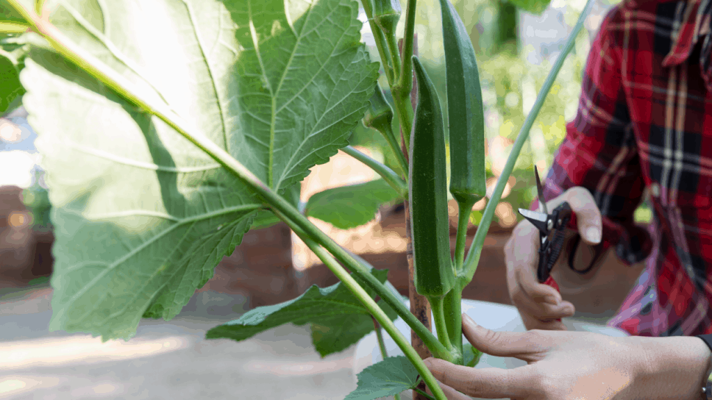 Self-Sufficient Garden – Ultimate Guide to Start