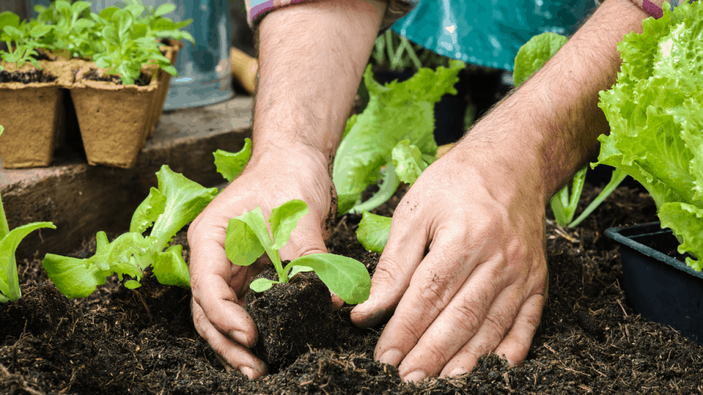 Self-Sufficient Garden – Ultimate Guide to Start