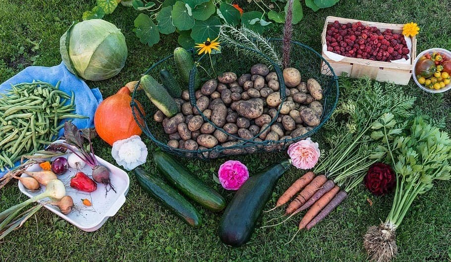 What Vegetables Grow Well Together In Containers?
