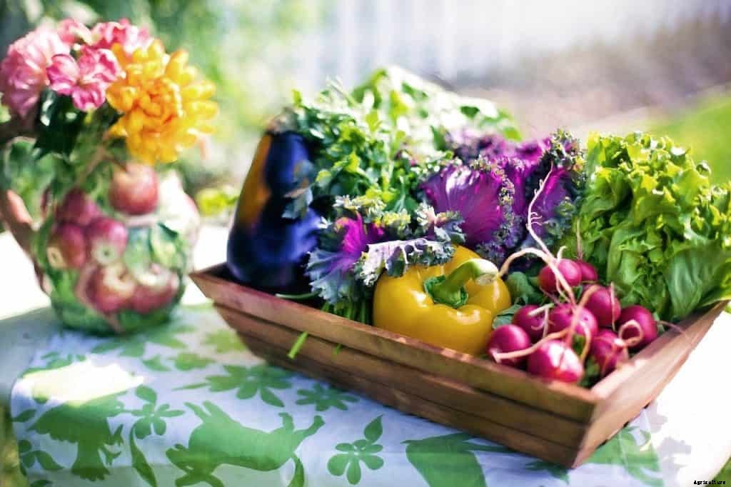 Vegetable container gardening in winter