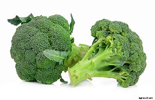 Top 13 Vegetables that grow above the ground