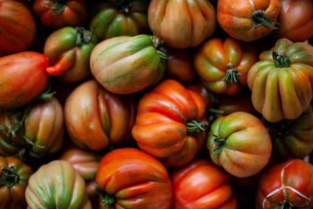 How to Grow Tomatoes From Seeds [9 Step Guide]
