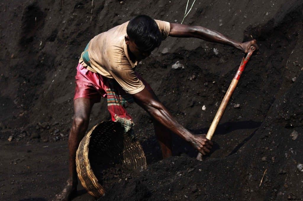 best potting soil for tomatoes – Top 8 Picks