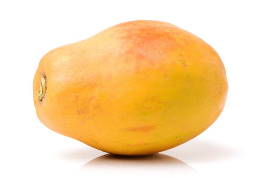 Paw Paws Trees – Planting, Growing and (Stunning Caring Tips)