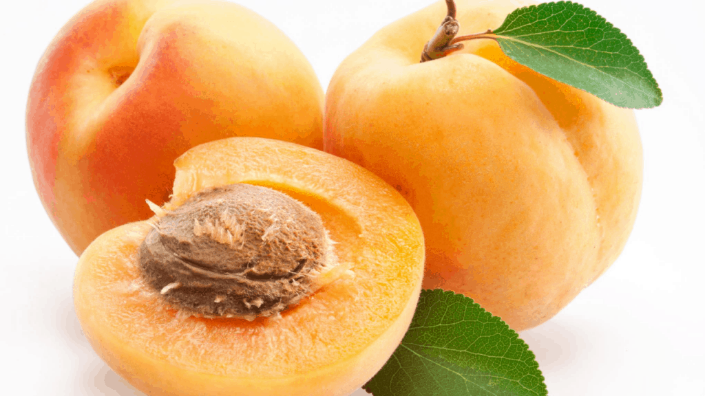 Apricot tree care and grow tips (Stunning benefits)