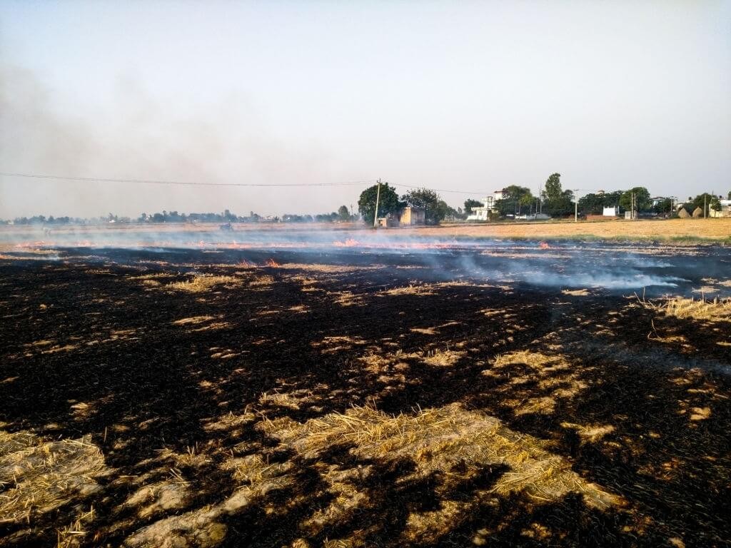 Challenges and alternatives of Crop Stubble Burning