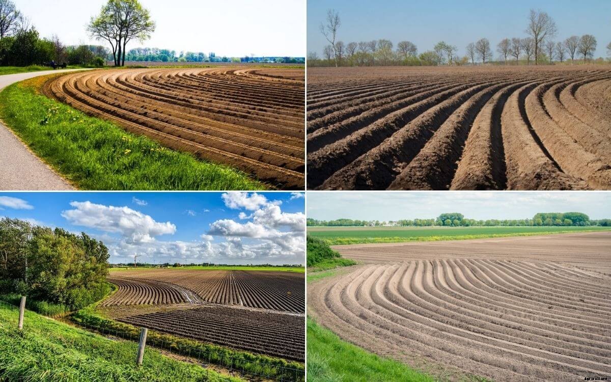 Furrow Irrigation system : Advantages and disadvantages