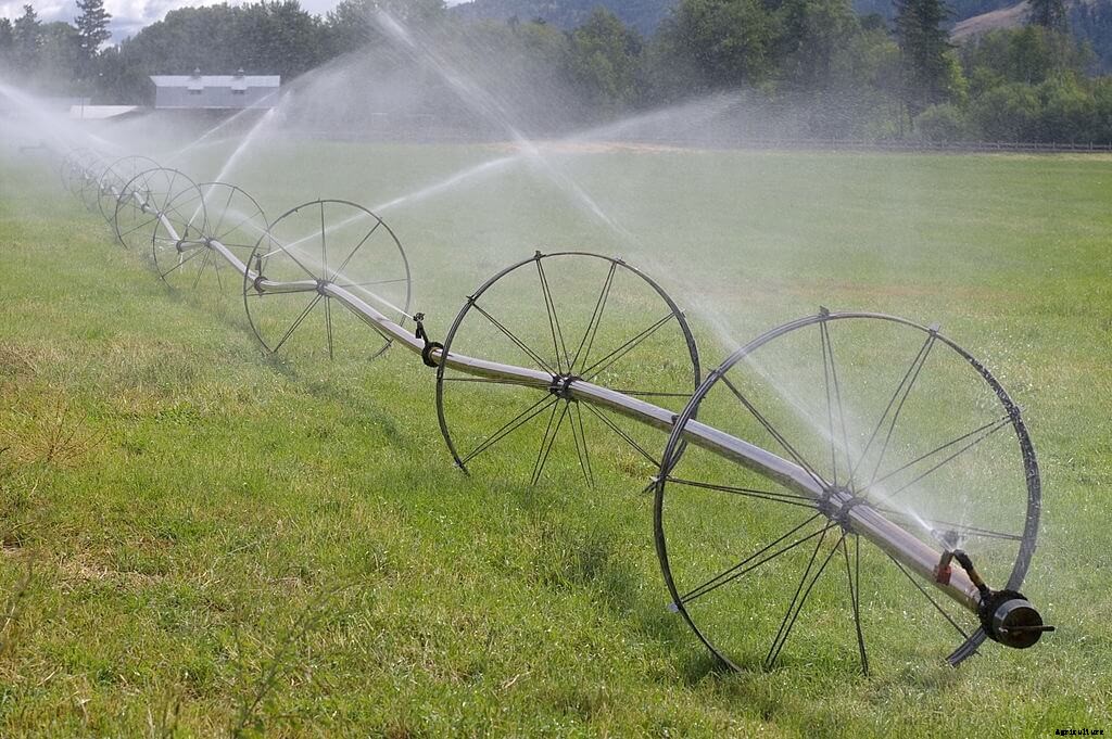 Sprinkler irrigation System: Types, advantages and disadvantages