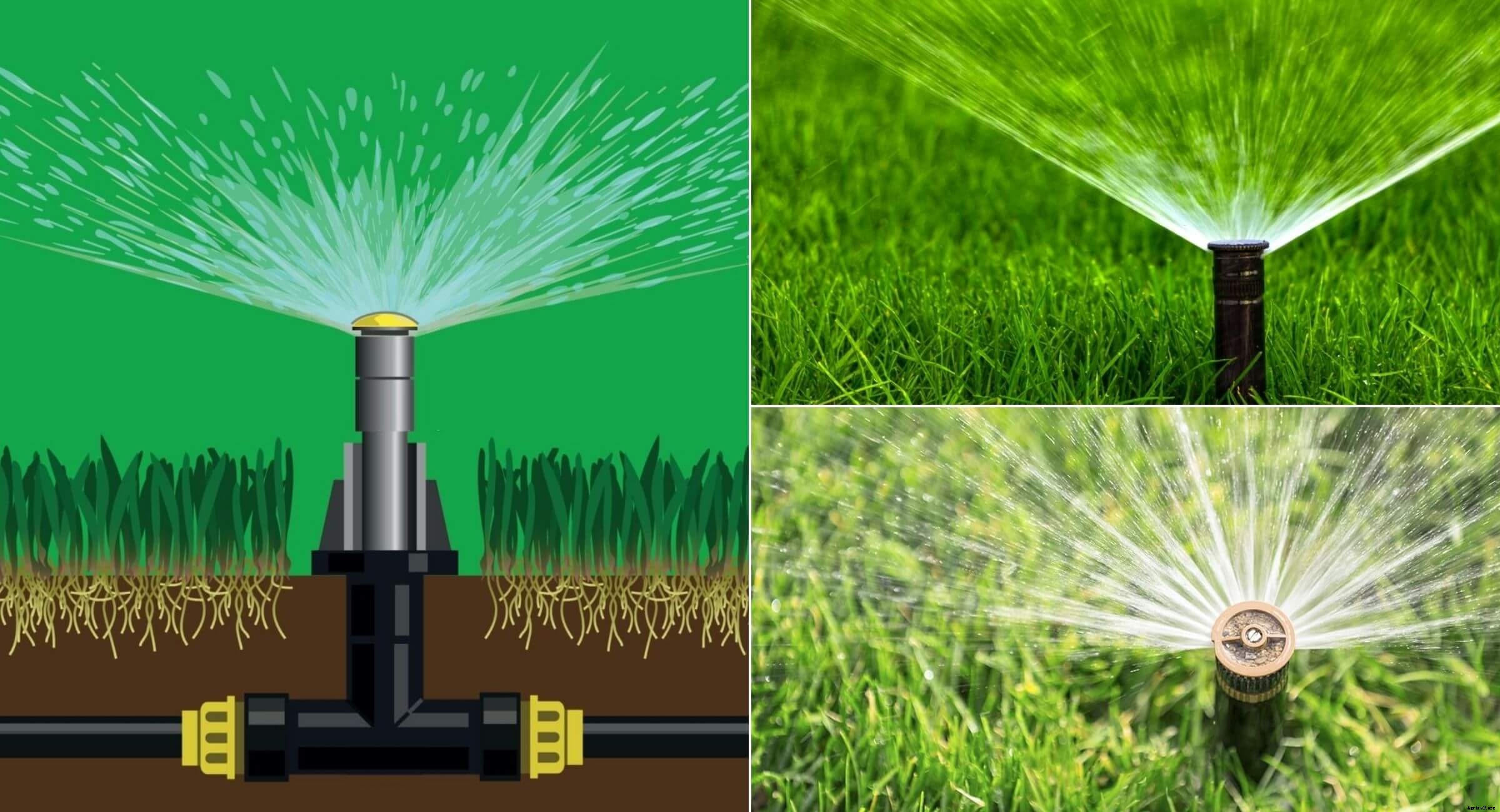 Sprinkler irrigation System: Types, advantages and disadvantages