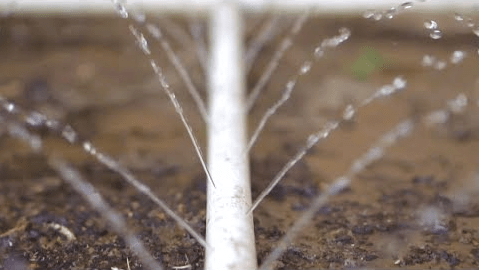 Sprinkler irrigation System: Types, advantages and disadvantages