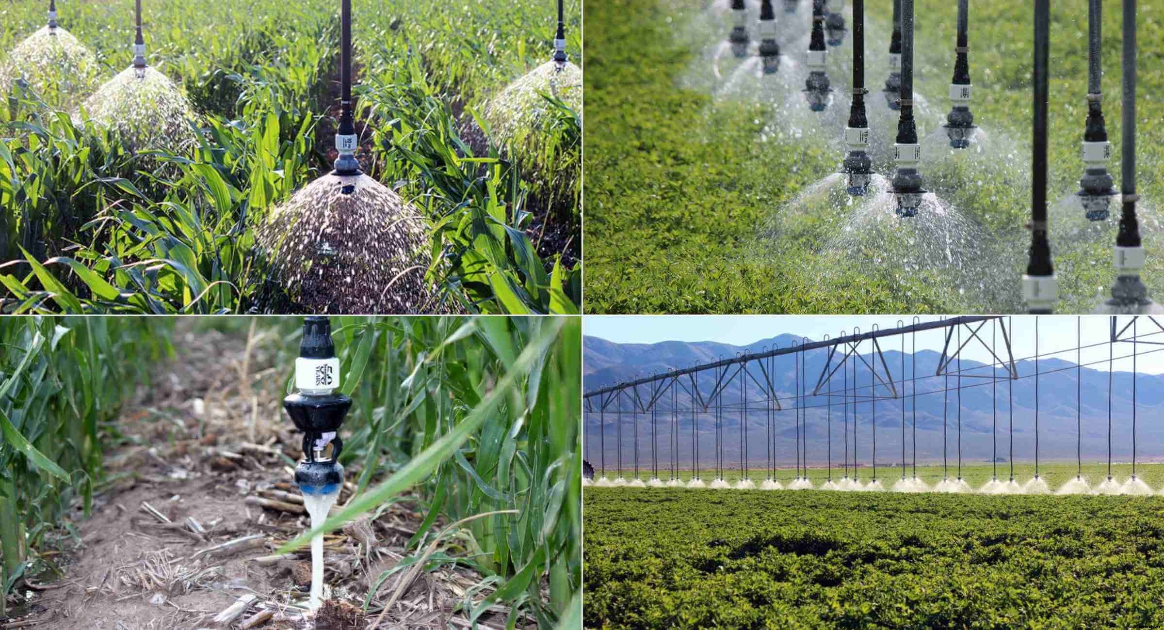 Sprinkler irrigation System: Types, advantages and disadvantages