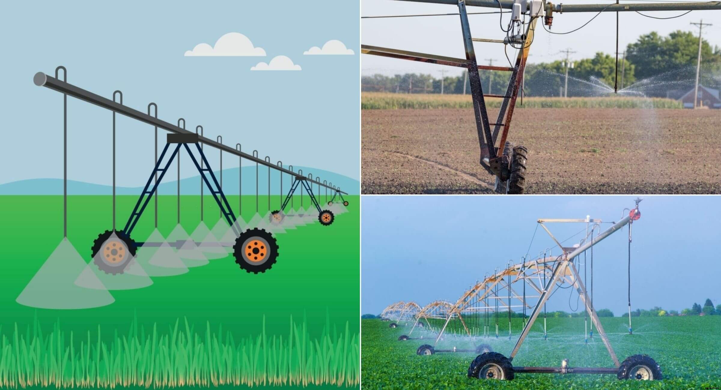 Sprinkler irrigation System: Types, advantages and disadvantages