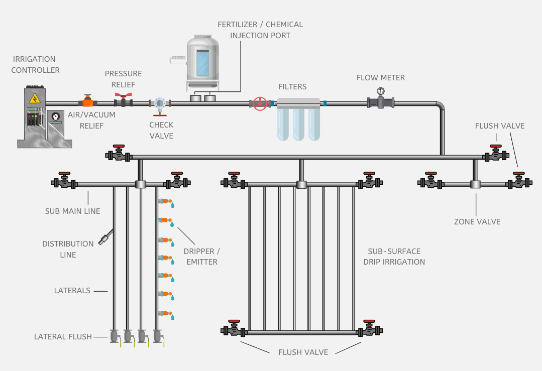 Drip irrigation: System, components, advantages and disadvantages